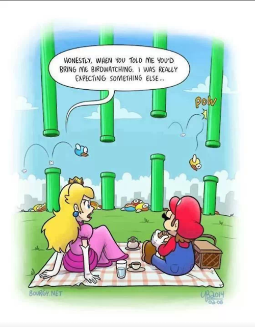 Super Mario Flappy Bird